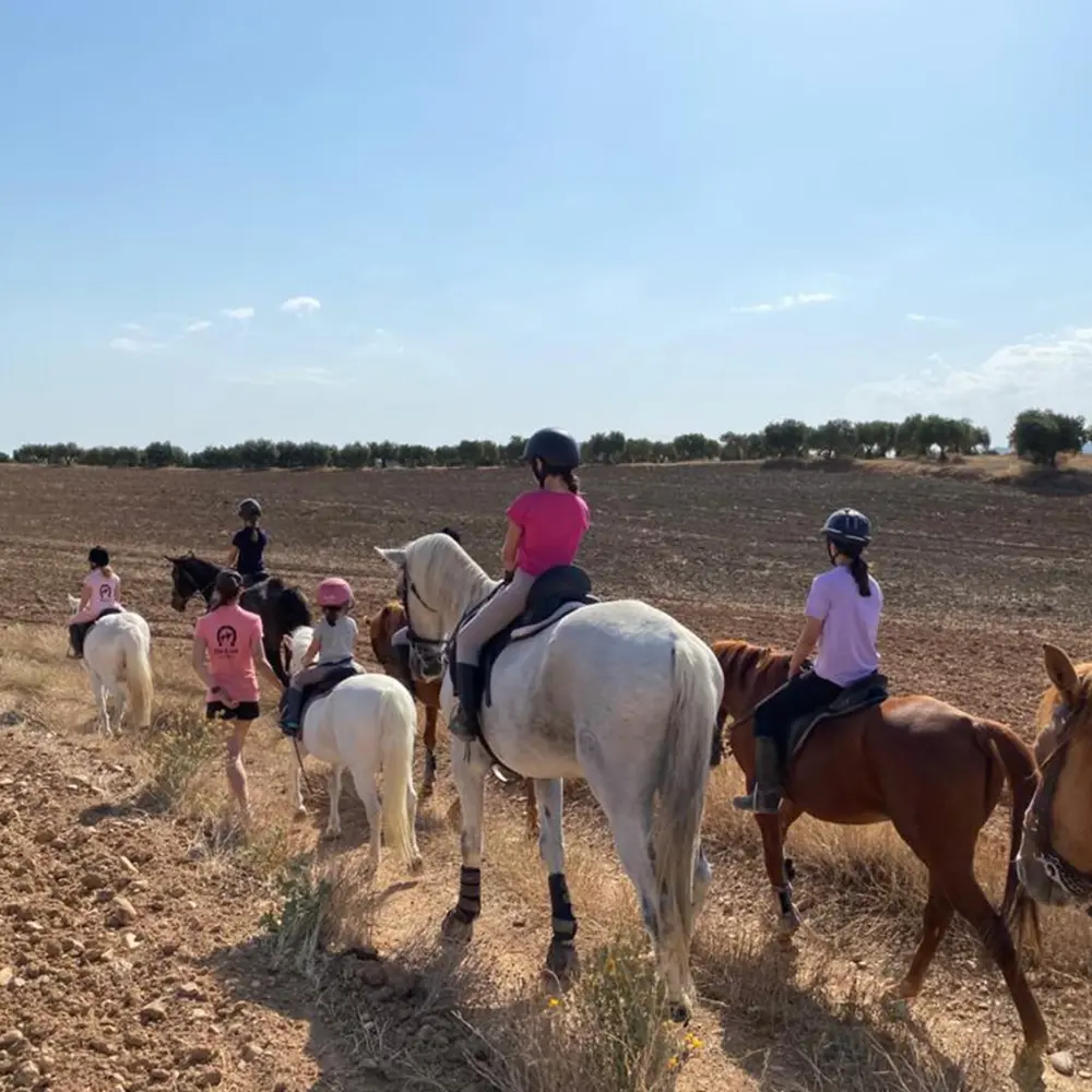 Campamentos de verano en Centro Hípico De Luz