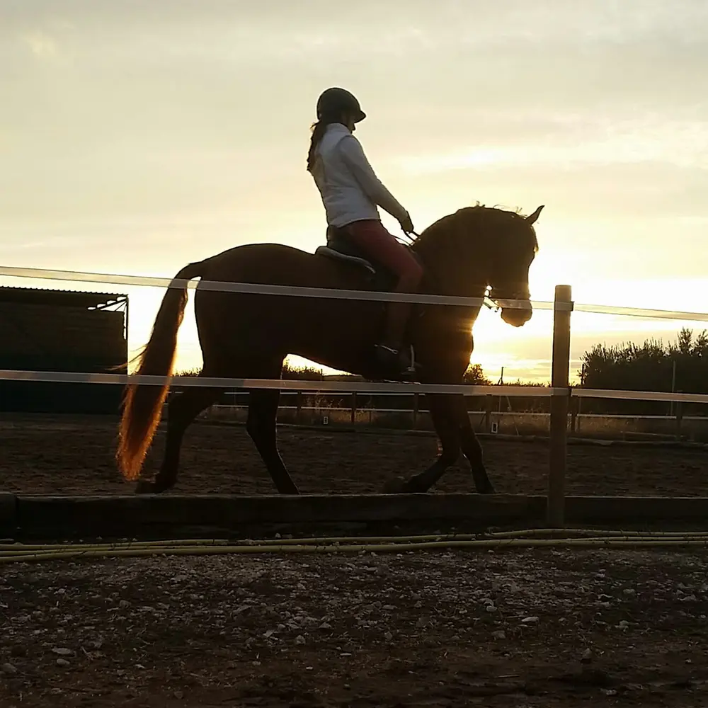 Clases de equitación en Centro Hípico De Luz