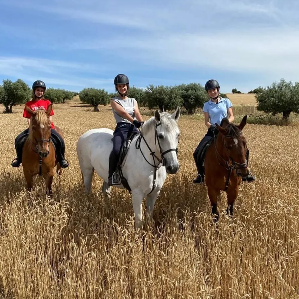 Rutas a caballo en Centro Hípico De Luz